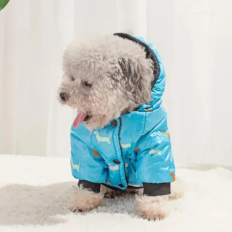 "🐾 Two Feet Hooded Cotton-Padded  Dog Jacket | Autumn & Winter Pet Coat ❄️"
