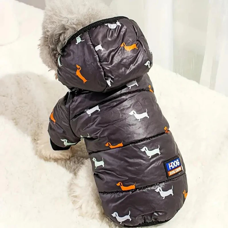 "🐾 Two Feet Hooded Cotton-Padded  Dog Jacket | Autumn & Winter Pet Coat ❄️"