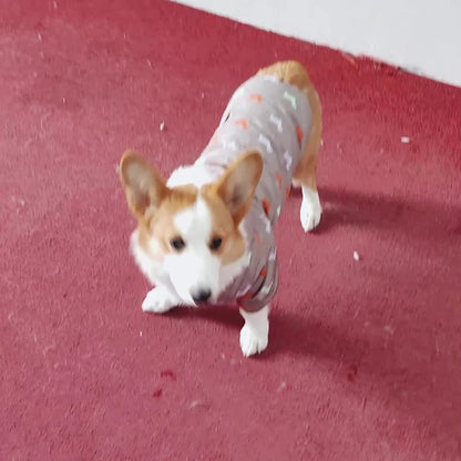 "🐾 Two Feet Hooded Cotton-Padded  Dog Jacket | Autumn & Winter Pet Coat ❄️"