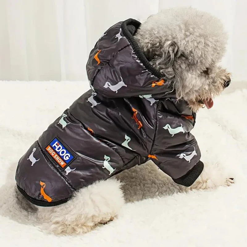 "🐾 Two Feet Hooded Cotton-Padded  Dog Jacket | Autumn & Winter Pet Coat ❄️"