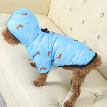 "🐾 Two Feet Hooded Cotton-Padded  Dog Jacket | Autumn & Winter Pet Coat ❄️"